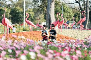 BIB: 
                            <button type="button" onclick="openModal(27344290)" class="btn btn-primary btn-sm float-right btn-popup" data-toggle="modal" data-target=".modal-high-quality">
                        <i class="fas fa-shopping-cart"></i> Add to Cart
                    </button>
                                            <button type="button" onclick="isThisMe(27344290, true)" class="btn btn-success btn-sm float-right btn-popup btn-isme hidden" data-toggle="tooltip" data-placement="bottom" title="นี่คือรูปของคุณใช่ไหม คลิกที่นี่เพื่อเอาเข้าอัลบั้ม">
                        <i class="fas fa-plus"></i> Add to album
                    </button>
                    <button type="button" onclick="isThisMe(27344290, false)" class="btn btn-warning btn-sm float-right btn-popup btn-isnotme hidden">
                        <i class="fas fa-ban"></i> Remove from album
                    </button>